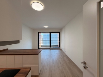Pronájem bytu 1+kk v osobním vlastnictví 31 m², Praha 3 - Žižkov