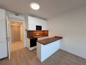 Pronájem bytu 1+kk v osobním vlastnictví 31 m², Praha 3 - Žižkov