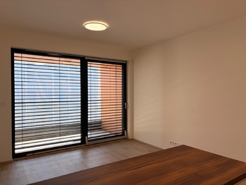 Pronájem bytu 1+kk v osobním vlastnictví 31 m², Praha 3 - Žižkov