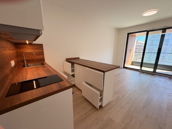 Pronájem bytu 1+kk v osobním vlastnictví 31 m², Praha 3 - Žižkov