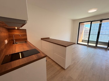 Pronájem bytu 1+kk v osobním vlastnictví 31 m², Praha 3 - Žižkov
