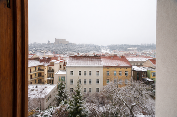 Výhled - Prodej bytu 1+1 v osobním vlastnictví 32 m², Praha 3 - Žižkov