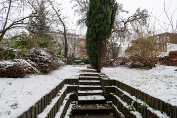 Dvorek - Prodej bytu 1+1 v osobním vlastnictví 32 m², Praha 3 - Žižkov