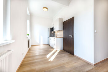 Pronájem bytu 1+kk v osobním vlastnictví 27 m², Praha 8 - Libeň