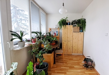 Prodej bytu 1+1 v osobním vlastnictví 35 m², Louny