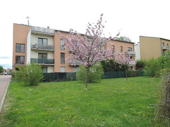 Pronájem bytu 2+kk v osobním vlastnictví 48 m², Hostivice