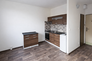 Pronájem bytu 1+1 v osobním vlastnictví 38 m², Chlumec