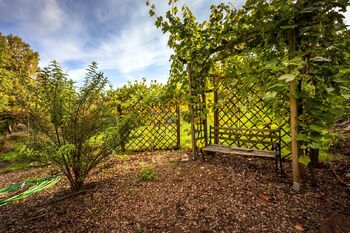 Prodej pozemku 4505 m², Omlenice