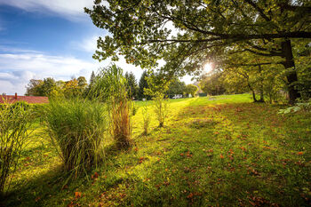 Prodej pozemku 4505 m², Omlenice