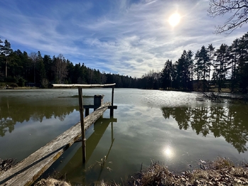 Prodej chaty / chalupy 60 m², Mladošovice