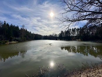 Prodej chaty / chalupy 60 m², Mladošovice