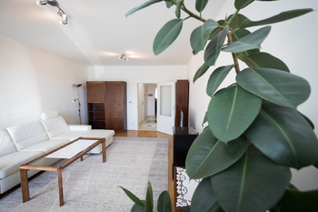 Pronájem bytu 3+1 v osobním vlastnictví 71 m², Brno