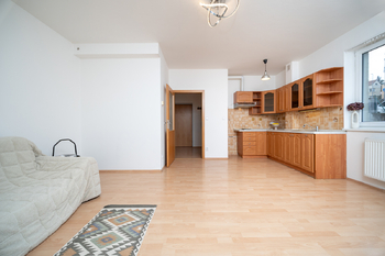 Prodej bytu 1+kk v osobním vlastnictví 39 m², Praha 8 - Libeň