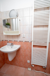 Prodej bytu 1+kk v osobním vlastnictví 39 m², Praha 8 - Libeň