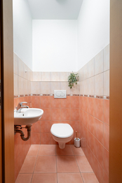 Prodej bytu 1+kk v osobním vlastnictví 39 m², Praha 8 - Libeň