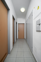 Prodej bytu 1+kk v osobním vlastnictví 39 m², Praha 8 - Libeň