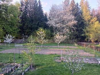 Prodej domu 212 m², Rádlo