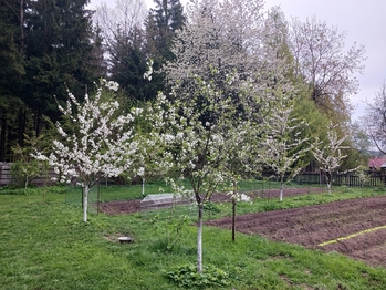 Prodej domu 212 m², Rádlo