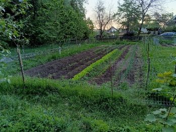 Prodej domu 212 m², Rádlo