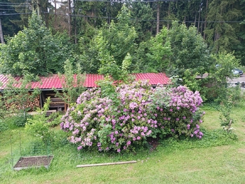 Prodej domu 212 m², Rádlo