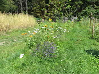 Prodej domu 212 m², Rádlo