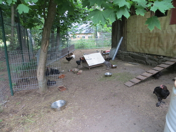 Prodej domu 212 m², Rádlo