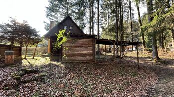 Prodej chaty / chalupy 40 m², Proseč pod Křemešníkem