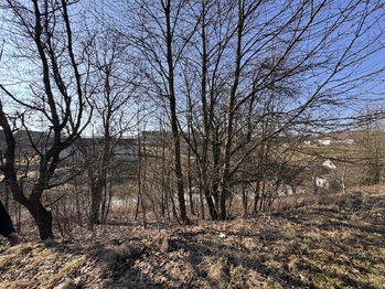 Pohled dopředu - Prodej pozemku 4000 m², Kladky