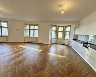 Pronájem bytu 3+kk v osobním vlastnictví 137 m², Praha 3 - Žižkov