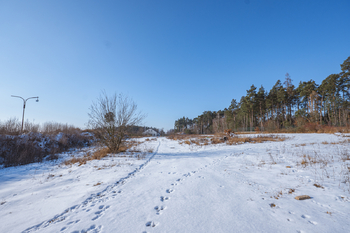 Prodej skladovacích prostor 1150 m², Studenec