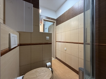 Prodej bytu 3+1 v osobním vlastnictví 75 m², Bor