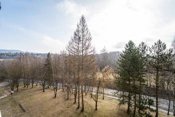 Prodej bytu 1+1 v osobním vlastnictví 36 m², Liberec