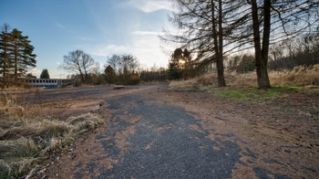 Prodej pozemku 29159 m², Zákupy