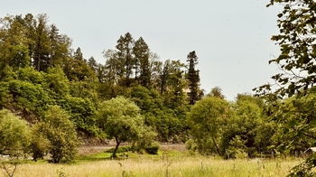 Prodej pozemku 942 m², Zruč nad Sázavou