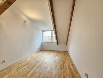 Prodej bytu atypický v osobním vlastnictví 110 m², Praha 10 - Vršovice