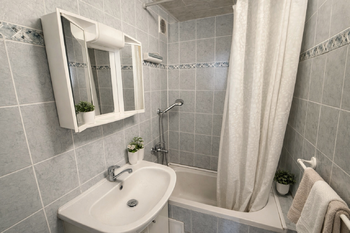 koupelna - Pronájem bytu 2+kk v osobním vlastnictví 47 m², České Budějovice