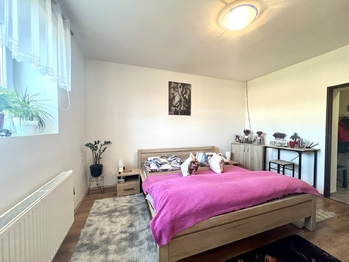 Prodej domu 112 m², Nechvalín