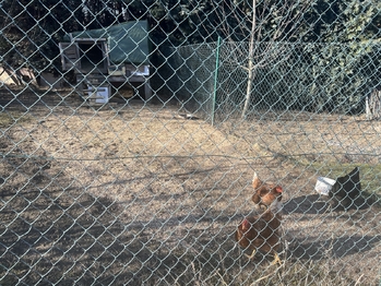 Prodej domu 112 m², Nechvalín