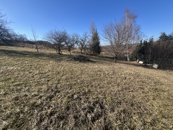 Prodej domu 112 m², Nechvalín