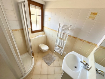 Prodej domu 200 m², Dolní Rychnov