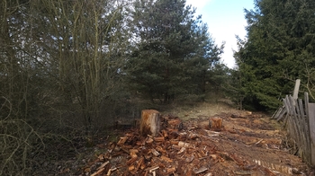 Prodej pozemku 654 m², Olešná