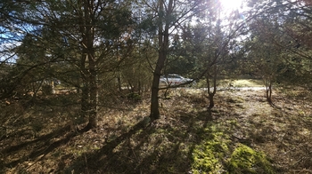 Prodej pozemku 654 m², Olešná