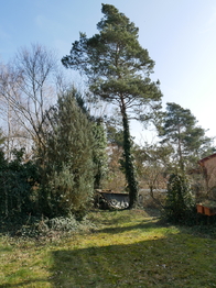 Prodej chaty / chalupy 58 m², Chudíř