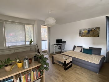 Pronájem bytu 1+kk v osobním vlastnictví 39 m², Brno