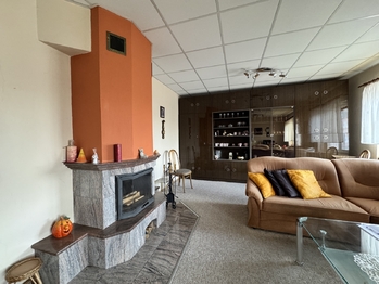 Prodej domu 300 m², Kravaře