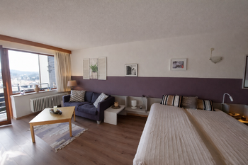 Prodej bytu 1+kk v osobním vlastnictví 38 m², Haidmühle