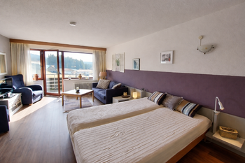 Prodej bytu 1+kk v osobním vlastnictví 38 m², Haidmühle