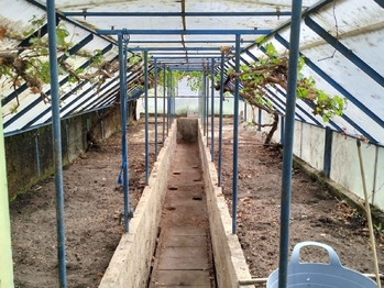 Prodej domu 72 m², Sokolnice