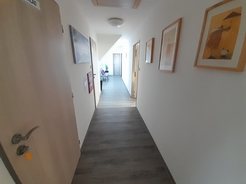 Pronájem bytu 1+kk v osobním vlastnictví 15 m², Znojmo