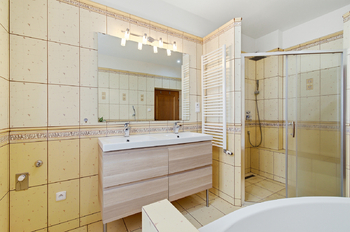 Prodej domu 298 m², Břasy